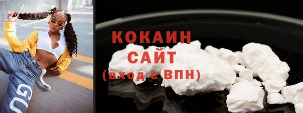 ПСИЛОЦИБИНОВЫЕ ГРИБЫ Арсеньев